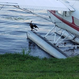 Meet your Posher, Emmanuel